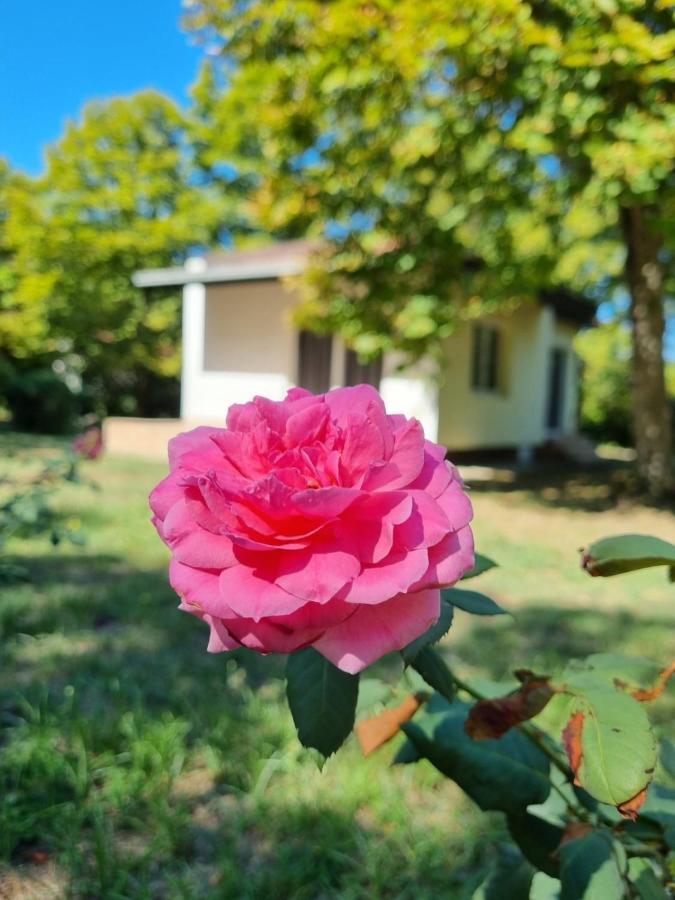 Fuk-Tak'S Bungalow Dojran Exterior photo